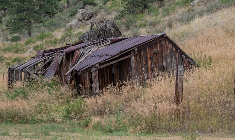 „Nejsem hladový, jen smutný“ – Příběh kluka a jeho babičky proti školnímu stigmatu