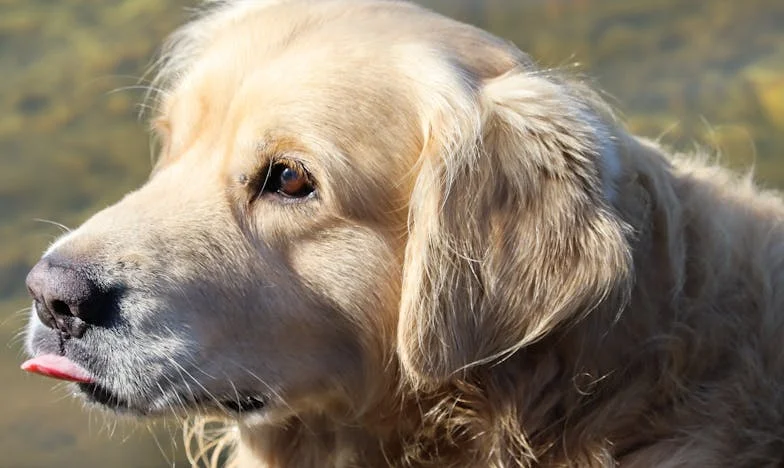 „Nejsi dost cool, babi!” – Příběh jedné zlomené babičky a její cesty za pochopením vnoučete