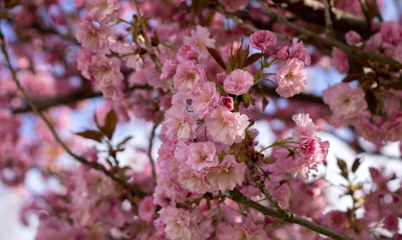 Neviditelné napětí: Když se rodinná návštěva změní v bitevní pole