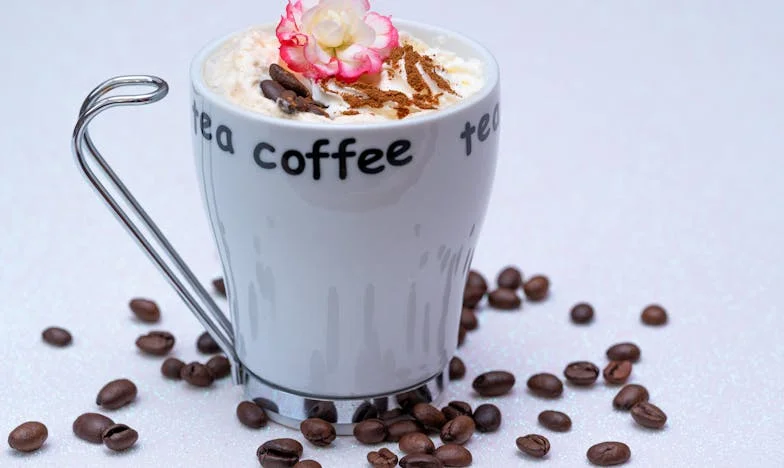 Nikdy jsem nepoznala lásku: Příběh o rodině, vině a nenaplnění