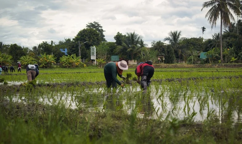 Odešla jsem z domova a nechala mámu za sebou: Příběh o vině, svobodě a rodinných poutech