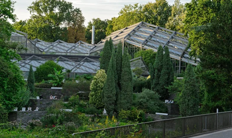 Pod jednou střechou: Léto, kdy jsem ztratila dceru