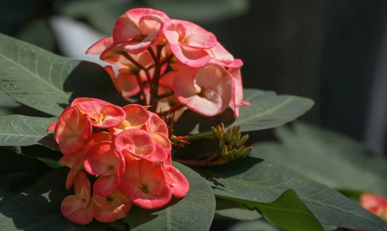 Pomsta v kuchyni: Jak jsem se postavila tchyni a změnila svůj život