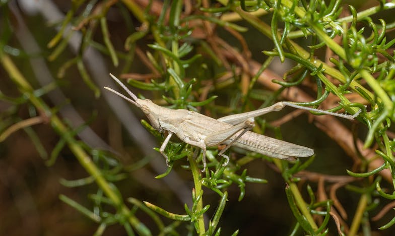 Poslední dopis sestře: Příběh malého Martina a rodinného tajemství