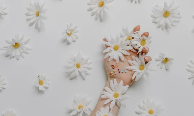 Přetržené pouto: Noc, která rozbila mou rodinu