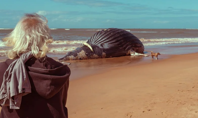 Proč mi dcera brání ve štěstí?