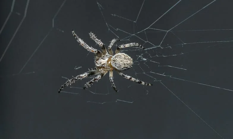 Proč už babička nechodí? Příběh o tichu, které bolí