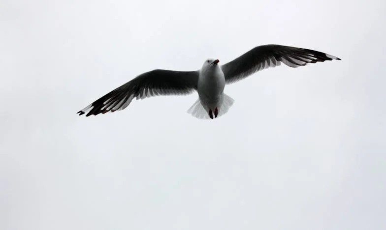 Svatba, která nás málem roztrhla: Když peníze zničí rodinu