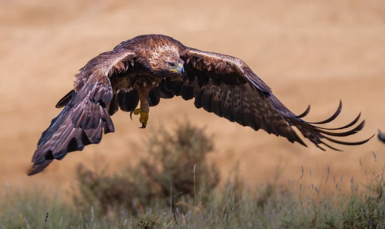 Ticho mezi námi: Matčina úzkost, otcova vzdálenost a Marekovo tajemství