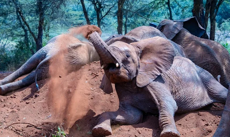 V bouři rodinných hádek: Jak jsem našla klid uprostřed chaosu díky víře a modlitbě