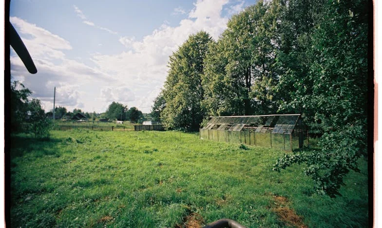 Večeře s paní Květou: Jeden talíř, dvě osamělé duše
