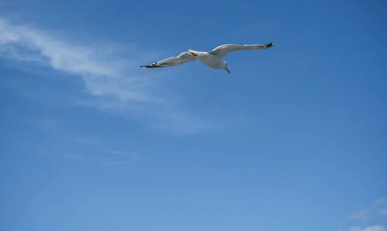 Víkend, který měl být jen náš – Když tchyně překročí práh (i hranice)