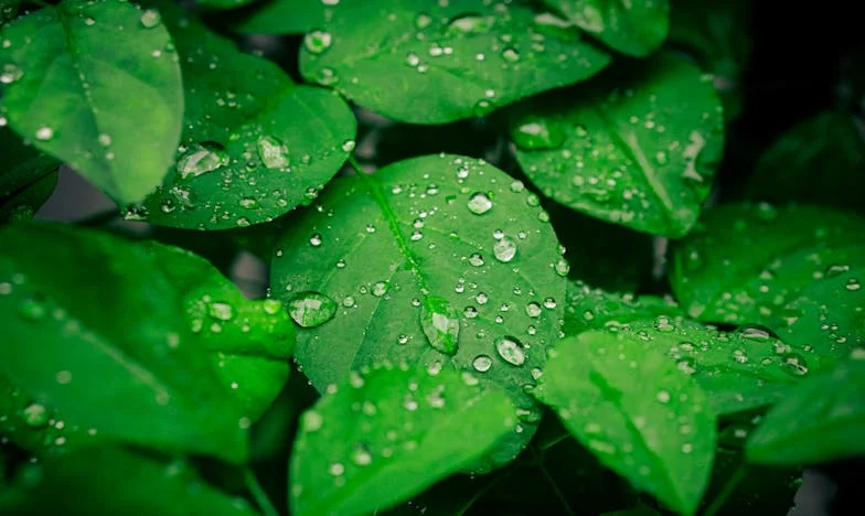 Zabolí pokaždé, když se podívám do zrcadla: Příběh zrady a odpuštění