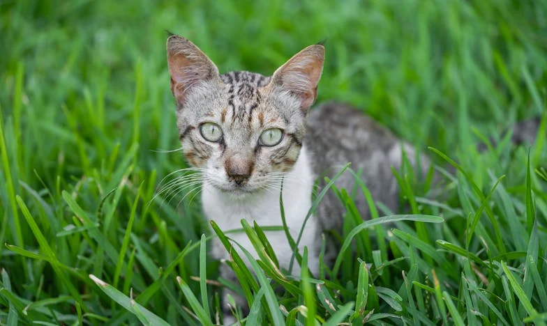 Žena na mokrém chodníku: Návrat minulosti, který bolí