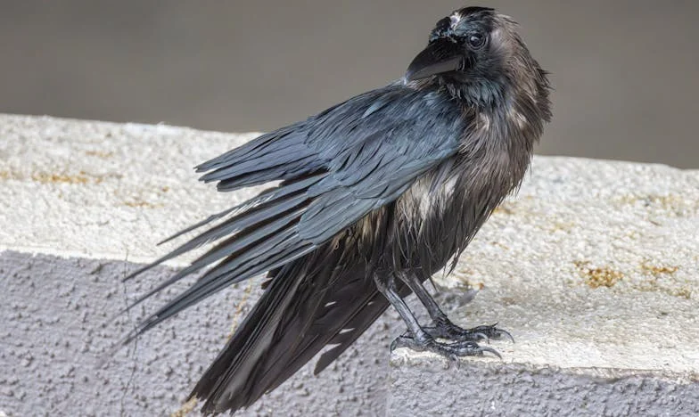 Život po padesátce: Když se minulost vrátí a všechno změní