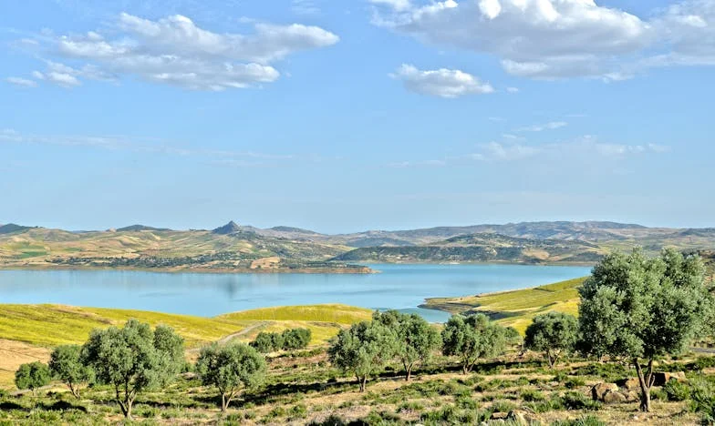 Byla jsem špatná matka, když jsem je vyhodila?