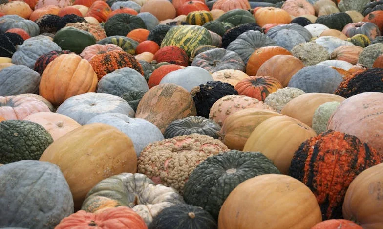 Dva roky po svatbě s rozvedeným: Když se jeho dcera nastěhuje k nám, začíná skutečná zkouška lásky