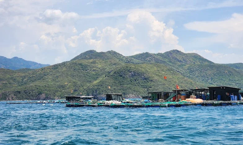 Když babička neměla sílu pro naše dítě, ale pro dceru ano – příběh, který mi zlomil srdce