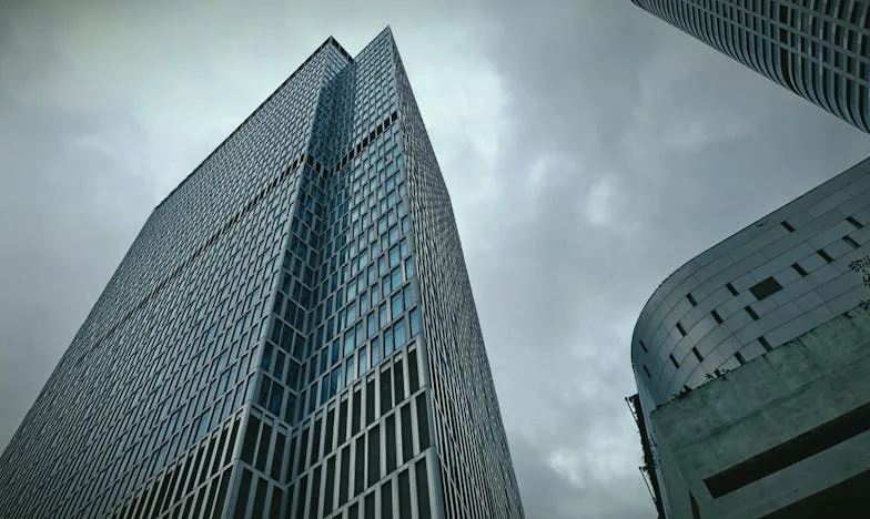 Když babička přišla bydlet k nám: Příběh o ztrátách, lásce a odvaze