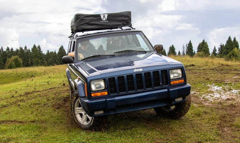 Když domov není útočiště: Příběh jedné české matky