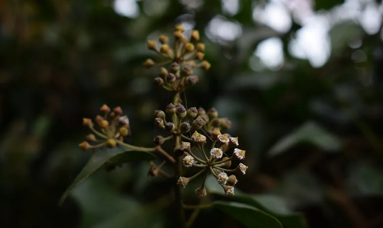 Když jsem poprosila tchyni o pomoc: Rozhodnutí, které změnilo naši rodinu