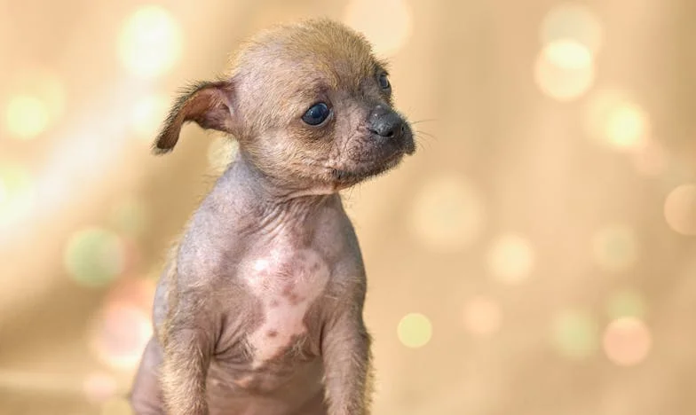 Když se domov změní v cizí místo: Příběh jedné zrady