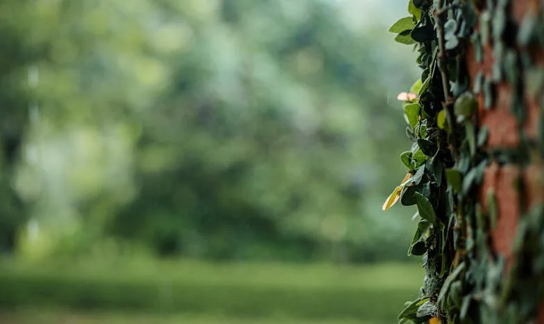 Když soused otevřel v županu: Co jsem zjistila o svém manželovi a sobě