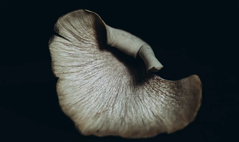 Když tchyně žádá nemožné: Příběh o víře, rodině a hledání smíru