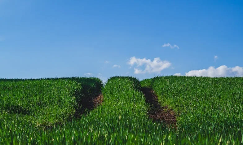 Když tě někdo nemiluje: Můj život s Petrem a 15 znamení, která jsem přehlížela