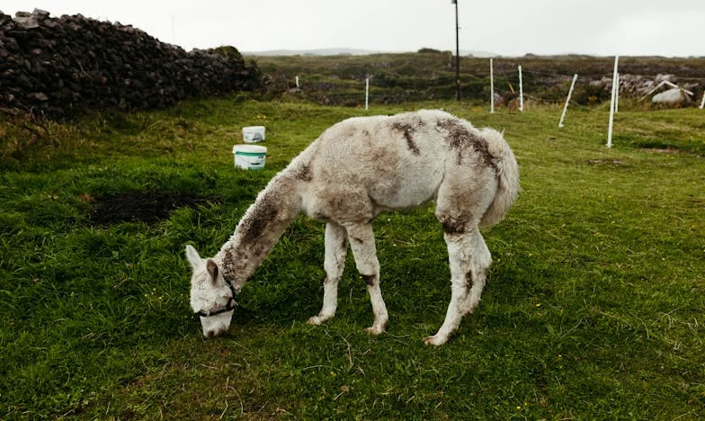 Mezi dvěma ohni: Jak jsem našla sílu rozhodnout se mezi mámou a tátou