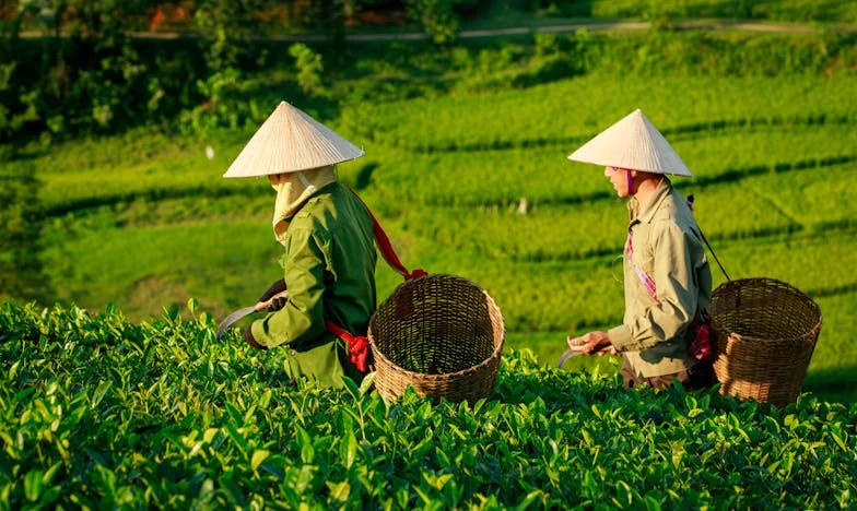 Mezi dvěma ohni: Můj boj se tchyní