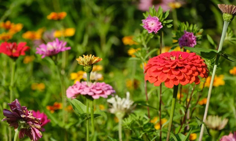 Mezi láskou a závislostí: Když pomoc synovi ničí rodinu