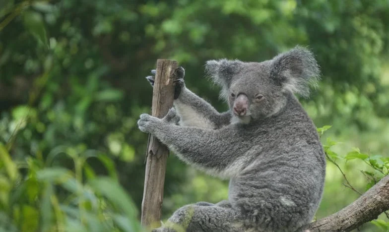 Mezi povinností a sebeúctou: Když rodina tíží víc než pomáhá