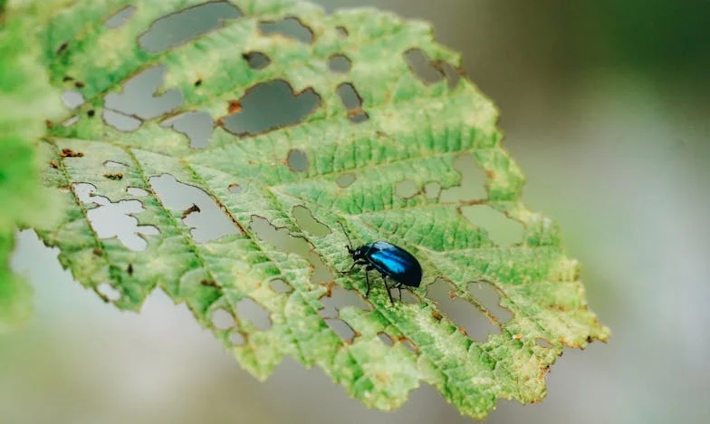 Mezi tichem a bouří: Příběh rodiny Novotných