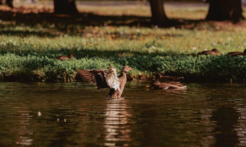 „Miluju dědu, ale babička je zlá“: Vnuččina zpověď, která roztrhla naši rodinu