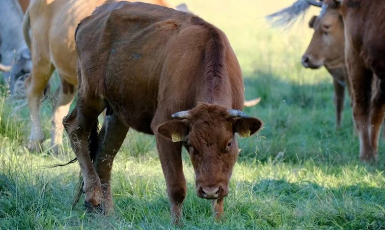Moje dcera mě přestala navštěvovat poté, co jsem vnukovi darovala byt