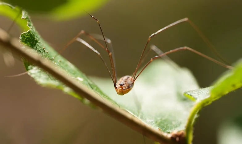 Moje dcera si bere mého vrstevníka – Zápas matky s vlastním svědomím