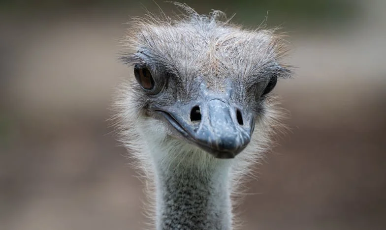 Moje matka žije v luxusu, zatímco my počítáme každou korunu: Příběh české rodiny o hledání pochopení