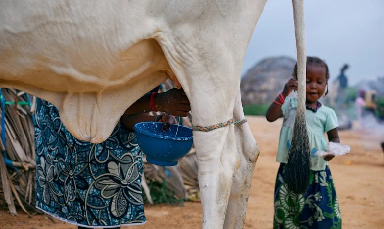 Moje snacha neumí vařit: Srdce matky mezi nadějí a zoufalstvím