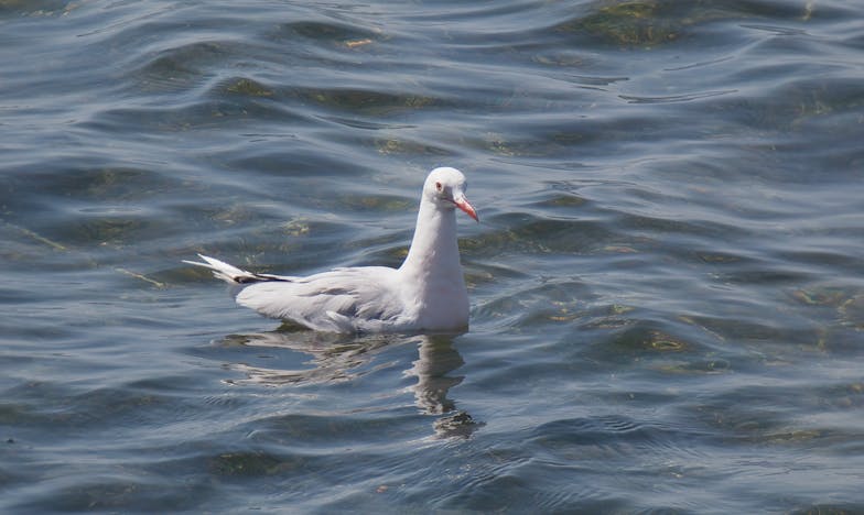 Můj manžel strávil léto se svou bývalou ženou: "Musíš to pochopit, potřebuju s ní zůstat v kontaktu"
