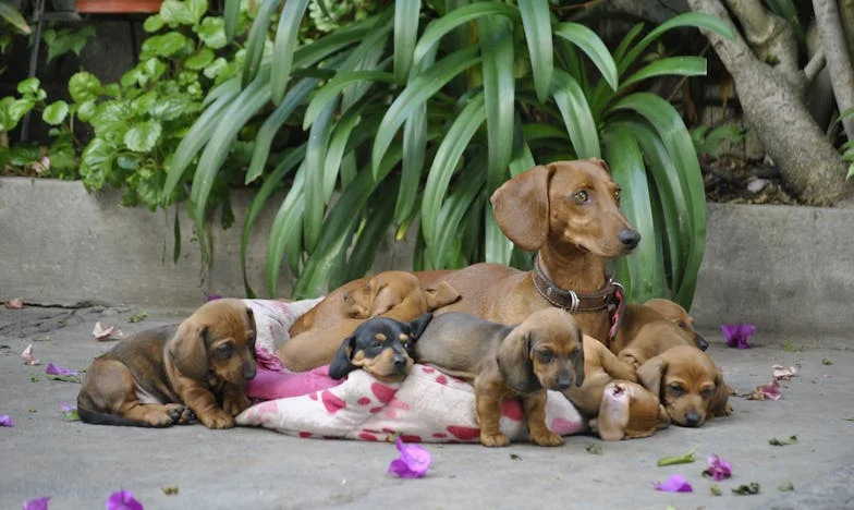 Nakup si sám a vař si, už tě dál živit nebudu: Příběh o zlomu v manželství