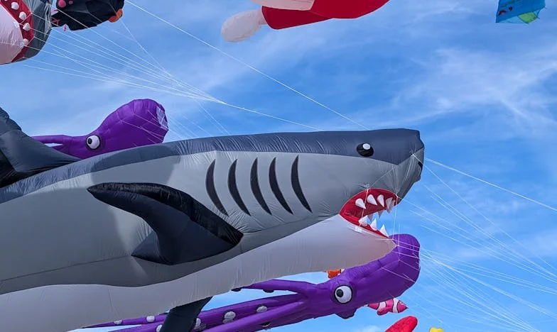 „Nejsem vaše služka!” – Můj boj o respekt v domě, který měl být mým útočištěm