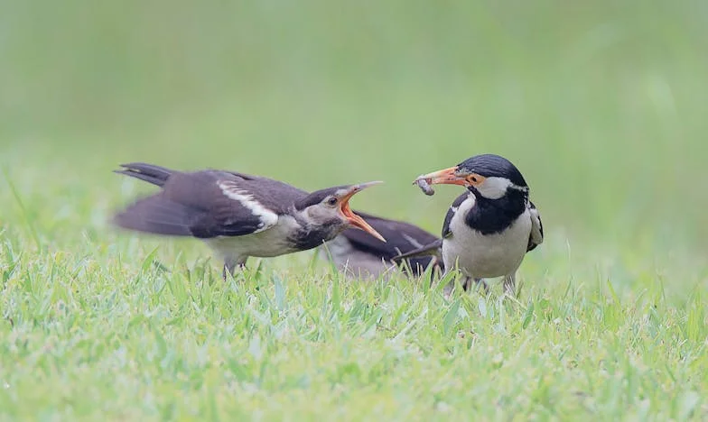 „Nemám postýlku, nemám přebalovací pult, ani obyčejnou lahvičku“ – Návrat matky do chaosu