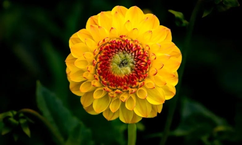 Odhalení, které mi převrátilo život: Příběh Jany a Karla