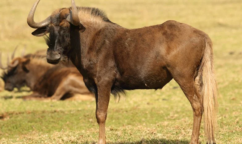 „Pokud se moje dcera vrátí k manželovi, může na mě zapomenout“ – příběh matky, která musela volit mezi loajalitou a svědomím