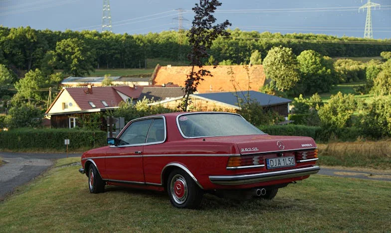 Pomsta na tchyni: „Tvoje brýle jsou špinavé, i naše vesnické prasata jsou čistší“ – Jedna věta, která změnila můj život