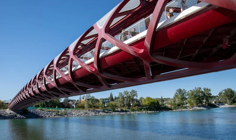 Pozvání, které změnilo vše: Když rodina není útočištěm