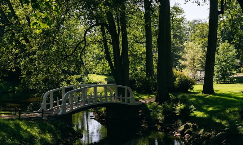 Pozvánka, která změnila všechno: Příběh zrady a odpuštění