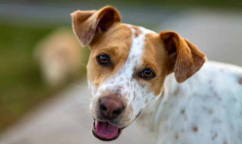 Proč mě vlastní dcera odsuzuje za to, co jí nemohu dát?