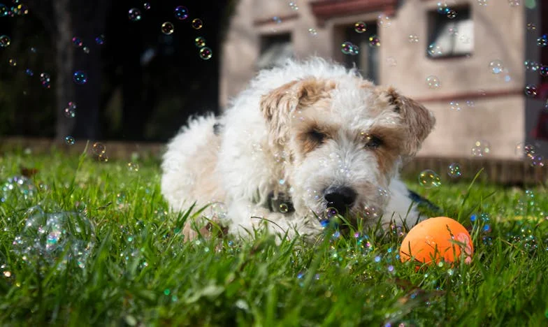 Proč mi nikdo nezavolal? – Příběh jedné oslavy a mnoha nevyřčených slov